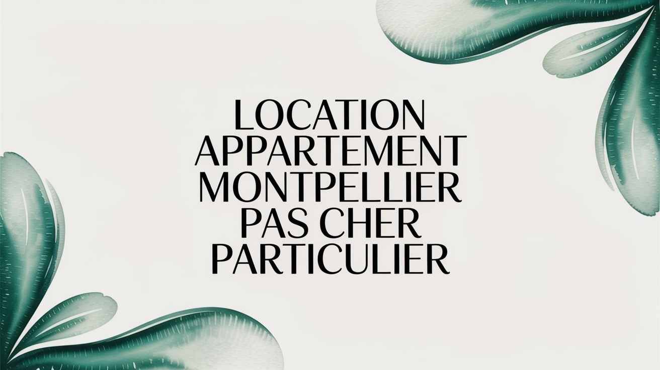 Appartement à louer à Montpellier à prix abordable