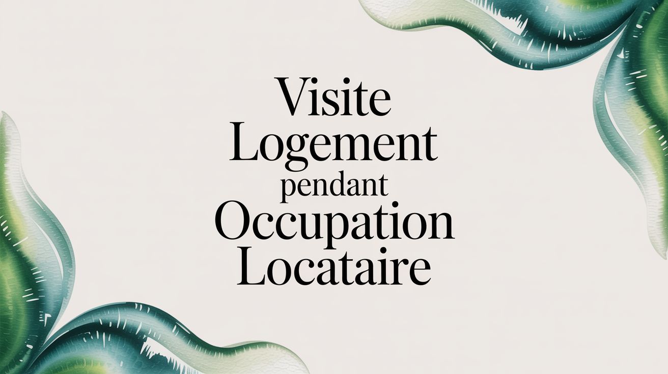 Visite logement pendant occupation locataire